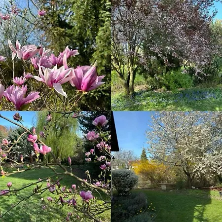 7 Bedroom Secluded Close To Prague * Ricany (Central Bohemian)